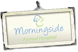 Morningside Animal Hospital Home
