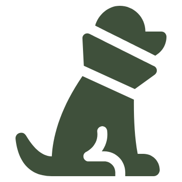 Dog surgery icon