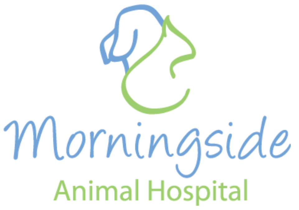 Morningside Animal Hospital