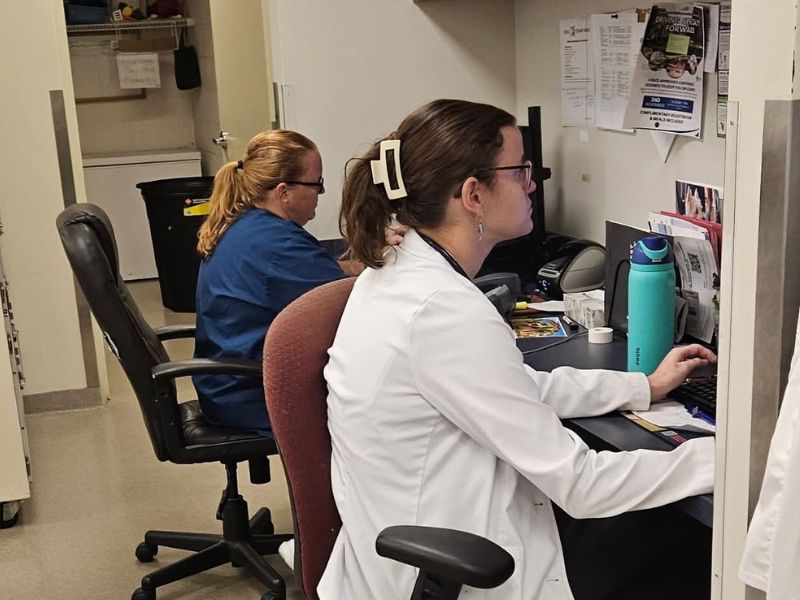 Morningside Animal Hospital staff working in the back of the clinic
