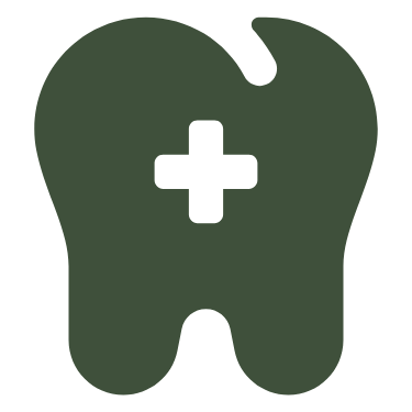 Pet Dentistry Icon