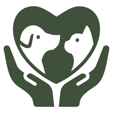 Pet Pain Management Icon