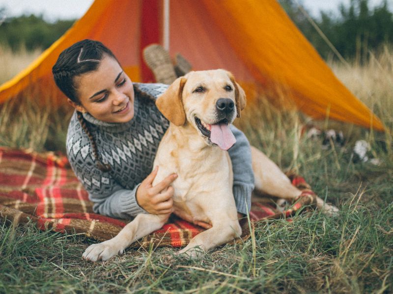 Girl and dog lying on a blanket while camping