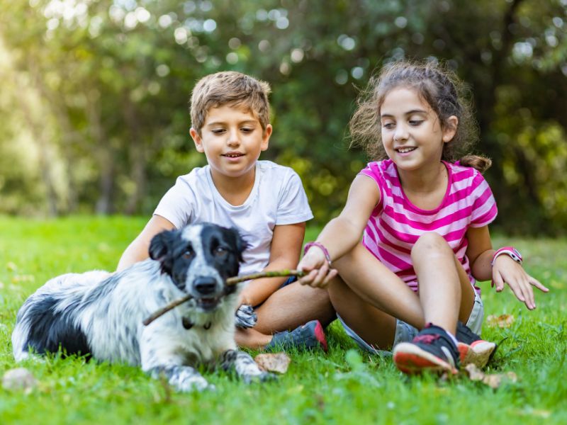 Kids, dog, stick, grass