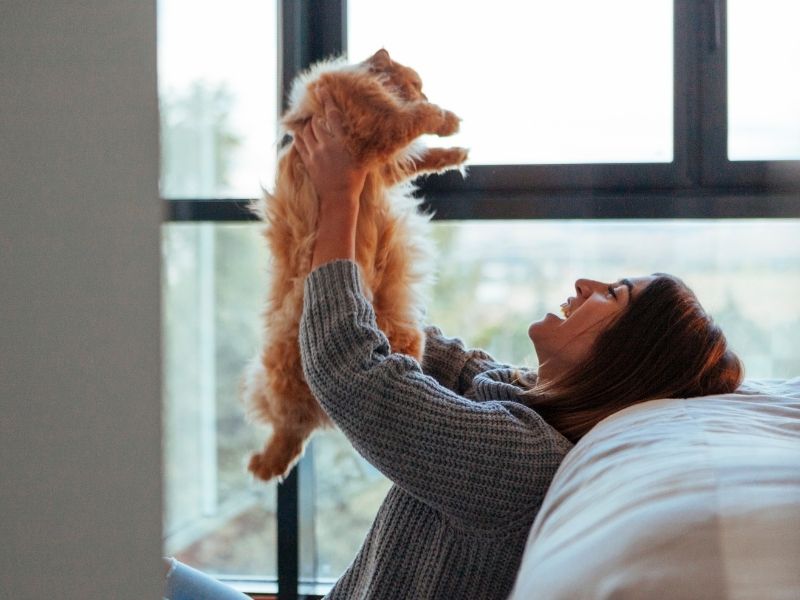 Woman playing with cat