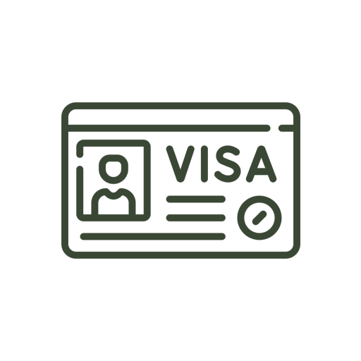 visa icon