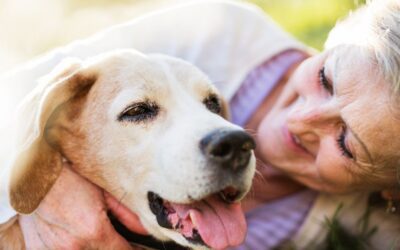 Compassionate Pet Memorial & Cremation Services