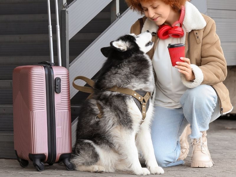 Woman, dog, luggage, coffee