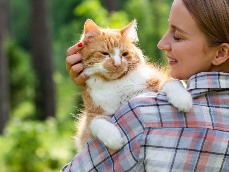 Woman holding an orange cat