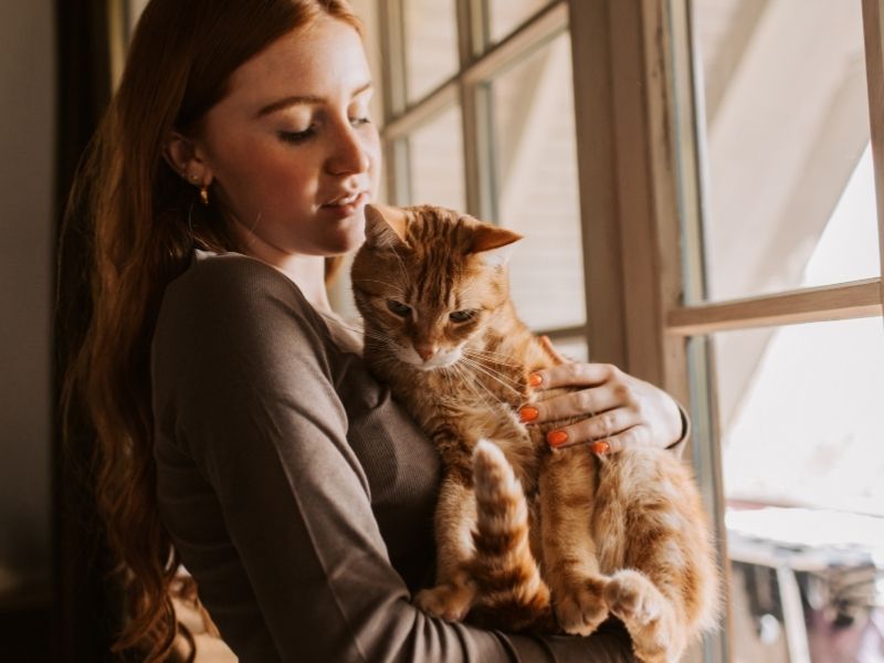 Woman holding orange cat