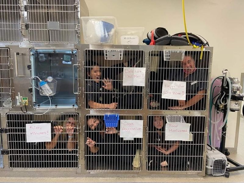People inside animal cages with funny signs